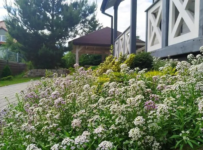 Дом отдыха Nadmorz *