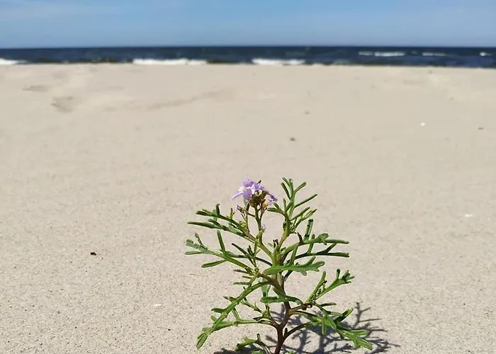 Nadmorz Дом отдыха Штутово