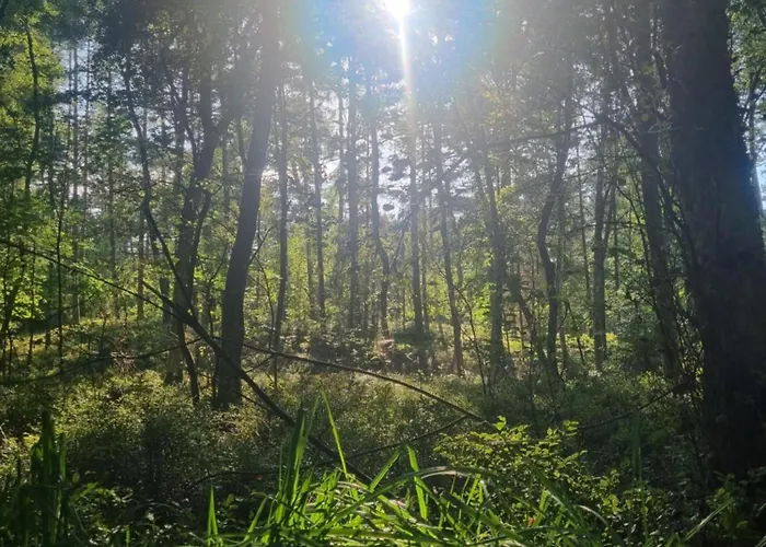 Nadmorz Штутово