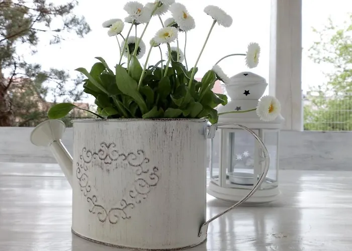 Nadmorz * Штутово