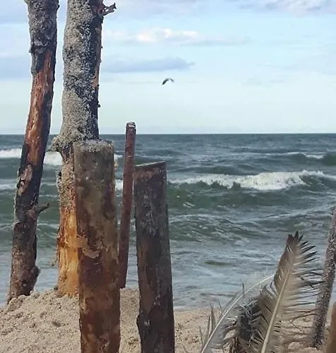 Nadmorz Дом отдыха Штутово